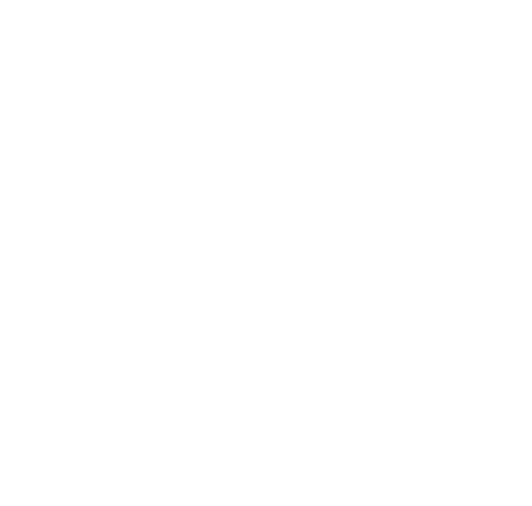 Logo FIDI